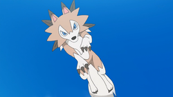 Alyxia Lycanroc.png