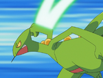 Re Sceptile.png