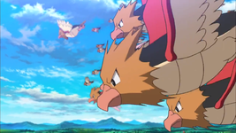 Kanto Percorso 1 Spearow F20.png