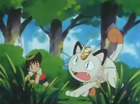 Timmy Meowth.png