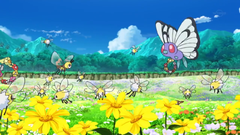 Isola del Tesoro Cutiefly Ribombee Butterfree Comfey.png