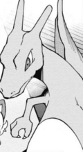 Friede Charizard HZM.png