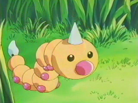 Casey Weedle.png