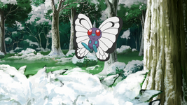 Goh Butterfree.png