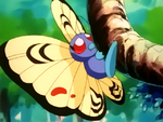 Isole Orange Butterfree.png