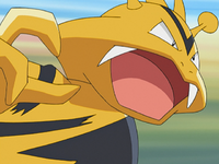 Jump Electabuzz.png