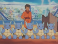 La sciarpa di Wartortle
