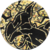 BKZ Gold Zekrom Coin.png