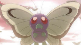 Ash Butterfree BW130.png