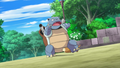Errore mascella inferiore di Blastoise