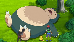 Snorlax Terre Selvagge.png