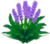Xy fiori viola.png