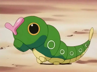 Bucky Caterpie.png