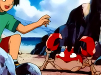 Isola Tangelo Krabby.png