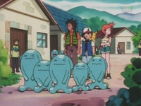 Villaggio dei Wobbuffet Wobbuffet.png