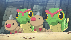 Città natale Roy Weedle Caterpie.png