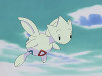 link = Togetic di Misty
