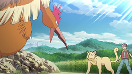 Rosso Fearow PO.png