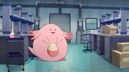 Taddeo Chansey.png