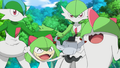 Team Rocket Travestimento XY116.png
