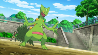 Sandro Sceptile.png