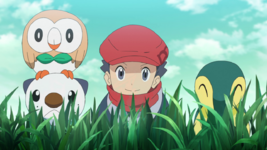 Luca Pokémon iniziali Hisui.png