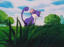 Kanto Route 1 Rattata.png