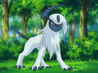 Drew Absol.png