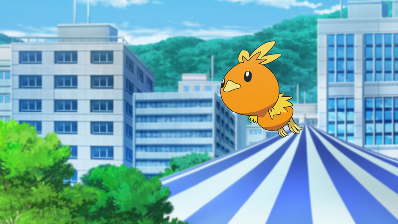 File:Helena Torchic.png