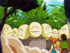 The March of the Exeggutor Squad