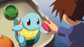 Gary Oak Squirtle.png