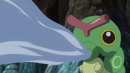 Goh Caterpie Millebave.png