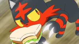 Ash Litten Sfuriate.png