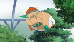 link = Elenco dei Pokémon posseduti temporaneamente da Ash Ketchum#Rowlet