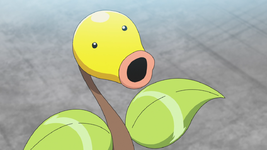 Goh Bellsprout.png