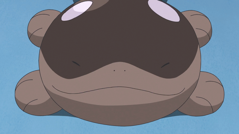 File:Capsi Clodsire.png