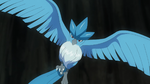 Isole Spumarine Articuno.png