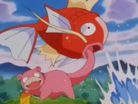 Lago Slowpoke Magikarp.png