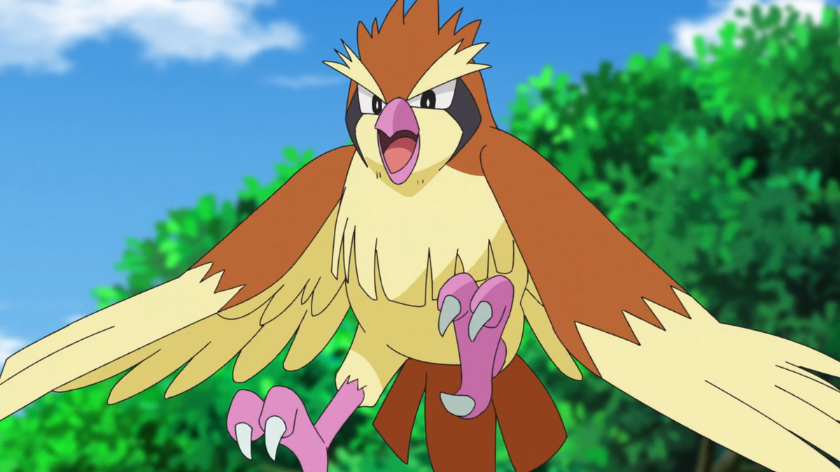 Fileforesta Di Aranciopoli Pidgeypng Pokémon Central Wiki