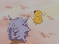 Misty Psyduck Colpocoda.png