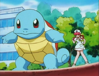PLEEI Squirtle.png