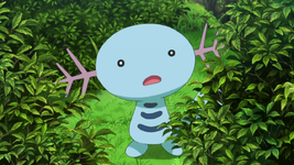 Wooper anime.png