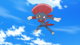 Martynia Weavile.png