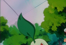 Ash Chikorita Profumino.png