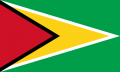 Guyana Flag.png