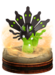 Zygarde