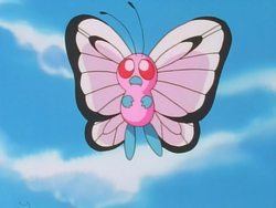 Butterfree Rosa.png