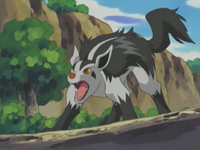 Butch Mightyena.png