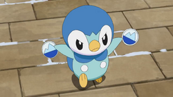 Lory Piplup.png