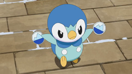 Lory Piplup.png